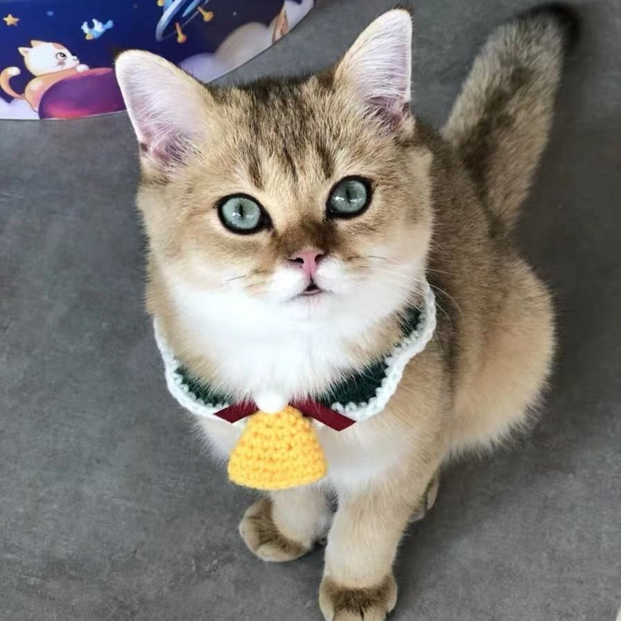 Wool Pet Collar Hand Woven Collar Christmas Pet Accessories - Dana & Dekor