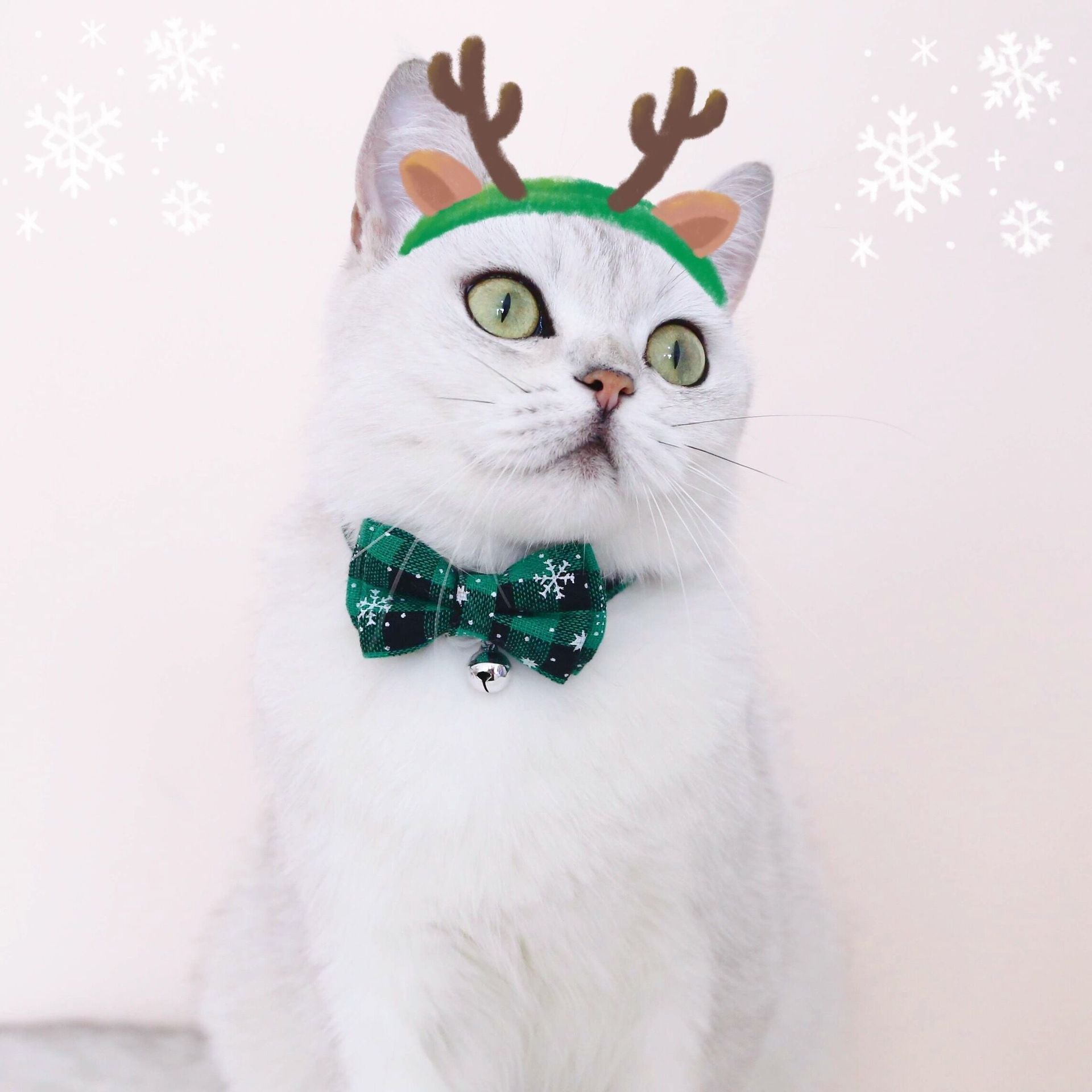 Pet Adjustable Anti-suffocation Double-layer Bow Snowflake Plaid Christmas Collar Cat Dog Bell Accessories Necklace - Dana & Dekor 