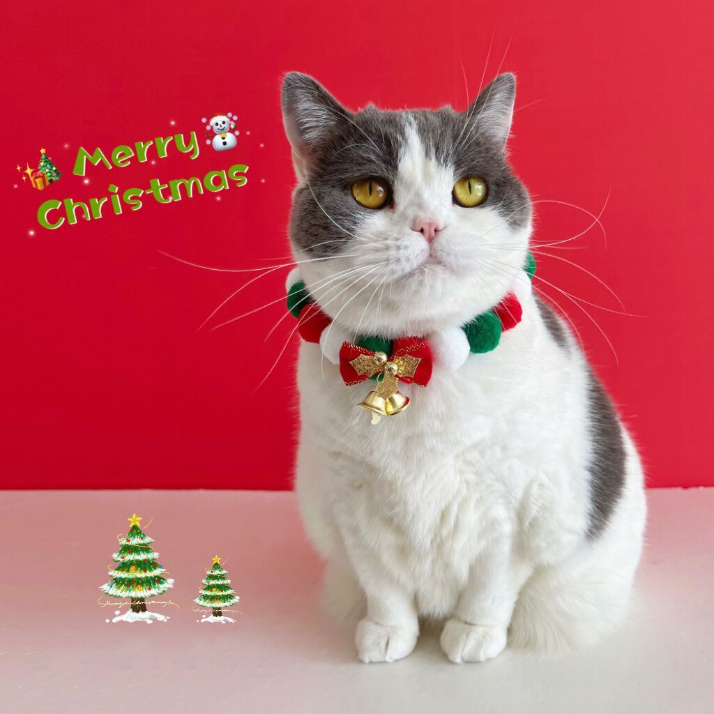 Christmas Cute Dog Cat Plush Ball Necklace Soft Elasticity Collar Pet Neck Accessories Dog Christmas Collar With Bow - Dana & Dekor 